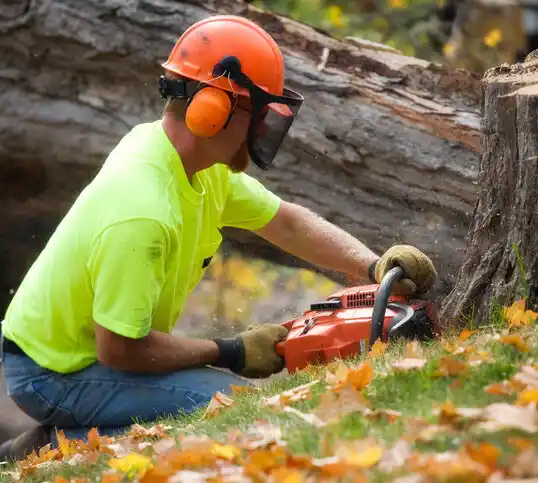 tree services Lawson